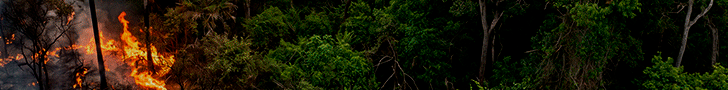bannner queimada